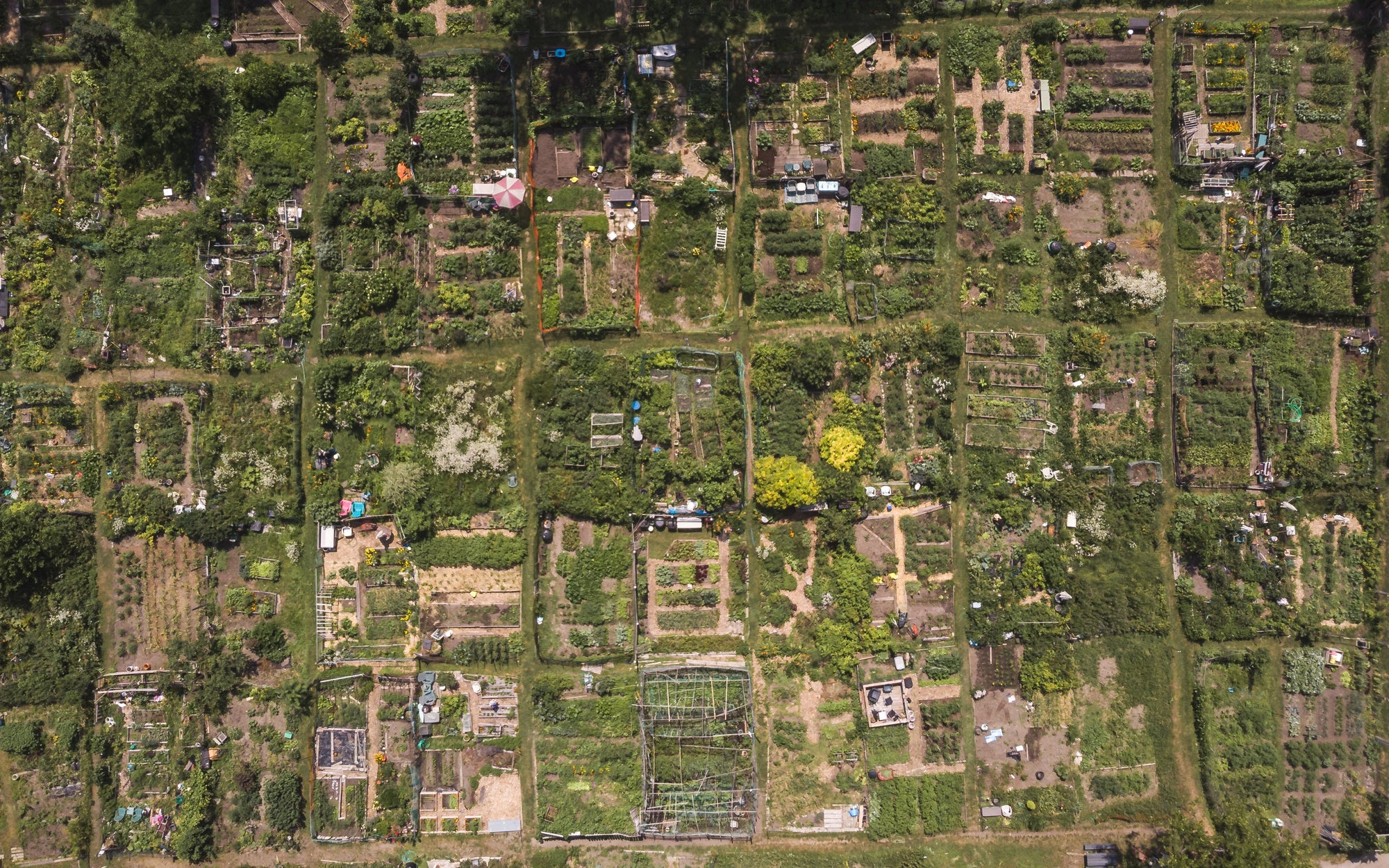 Garten/Grünpflege